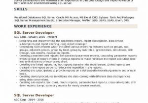 Sql Server Database Developer Resume Sample Sql Server Developer Resume 8 Years Experience February 2021