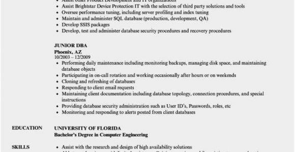 Sql Server Dba Resume Sample Doc Free 60 Sql Server Dba Resume Picture