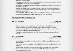 Stay at Home Mother Resume Sample How to Write A Stay at Home Mom Resume