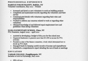 Stay at Home Mother Resume Sample Stay at Home Mom Resume Sample & Writing Tips