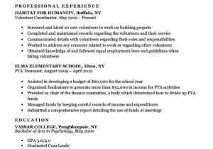 Stay at Home Parent Resume Sample Stay at Home Mom Resume Sample & Writing Tips