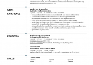 Stay at Home Parent Resume Sample Stay at Home Mother Resume Example