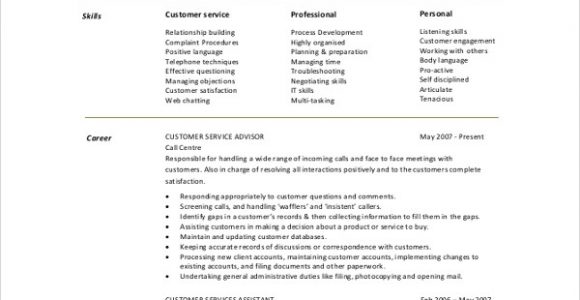 Summary Of Qualifications Sample Resume for Customer Service Free 8 Resume Summary Samples In Pdf