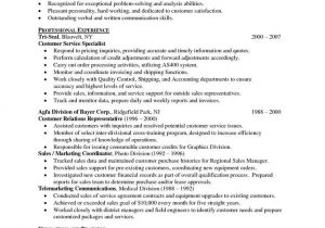 Summary Of Qualifications Sample Resume for Customer Service Sample Customer Service Resume