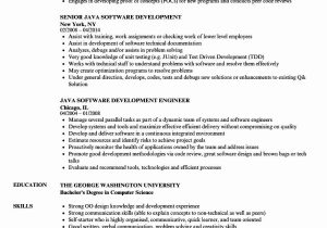 System Administrator Sample Resume 3 Years Experience Java Developer Resume 3 Years Experience Beautiful Java