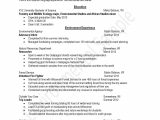 Teacher Of the Year Resume Sample 13 First Year Teacher Resume Template Examples