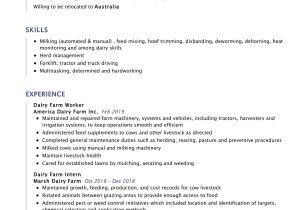 Technical Worker at the Farm Resume Sample Dairy Farm Worker Resume Sample 2022 Writing Tips – Resumekraft