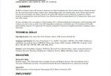 Technical Writer Resume Sample for Fresher 10 Technical Writer Resume Templates Pdf Doc