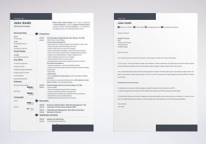 Technology Sample Resume with 20 Years Experience Technical Resume: Template, Guide & 20lancarrezekiq Examples
