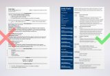 Technology Sample Resume with 20 Years Experience Technical Resume: Template, Guide & 20lancarrezekiq Examples