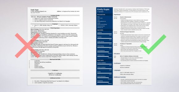Technology Sample Resume with 20 Years Experience Technical Resume: Template, Guide & 20lancarrezekiq Examples