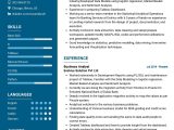 Telecom Business Analyst Resume Sample In Usa Business Analyst Resume Template 2022 Writing Tips – Resumekraft