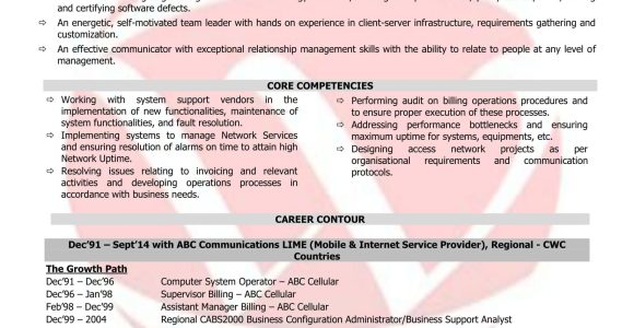 Telecom Project Manager Resume Sample India Telecom Manager Sample Resumes, Download Resume format Templates!