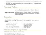 Template Sample Student Entry Level Resume Sample Resume for An Entry-level It Developer Monster.com
