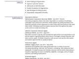 Templates for Insurance Sales Resume Sample Insurance Advisor Resume Sample 2021 Write Guide & Tips …