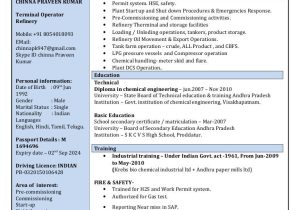 Terminal Operator Resume Sample for Entry Level Chinna Terminal Operator.