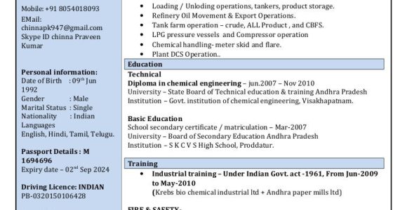 Terminal Operator Resume Sample for Entry Level Chinna Terminal Operator.