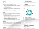 Tesl Lead Resume Sample that Can Get You Interview Elon Musk’s Ceo Resume Example In One Page Enhancv