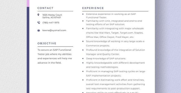 Test Analyst In Wallmart Sample Resumes Sap Functional Tester Resume Template – Word, Apple Pages …