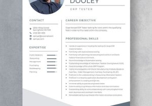 Test Analyst In Wallmart Sample Resumes Tester Resume Templates – Design, Free, Download Template.net