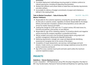 Tfs Build Create Packaging Release Resume Sample Salesforce Crm Resume Sample 2022 Writing Tips – Resumekraft