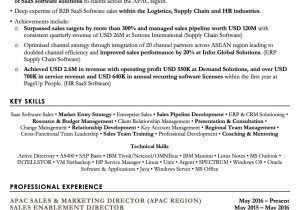 The Best Resume Sample In Malaysia 10lancarrezekiq Professional Resume Templates Downloadable Cv Templates