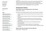 Tig and Arc Welder Resume Sample 18 Free Welder Resume Examples & Guide Pdf 2020