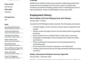 Tig and Arc Welder Resume Sample 18 Free Welder Resume Examples & Guide Pdf 2020