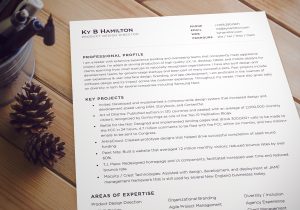 Tjx Framingham Ma Experience Resumes Samples Product Design Director Resume Ky Hamilton