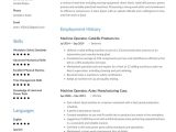Tool and Die Machinist Resume Sample Machine Operator Resume Examples & Writing Tips 2022 (free Guide)