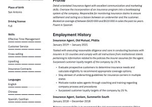 Top Life Insurance and Retirement Agent Resume Samples Insurance Agent Resume & Writing Guide  20 Templates