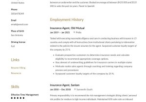 Top Life Insurance and Retirement Agent Resume Samples Insurance Agent Resume & Writing Guide  20 Templates