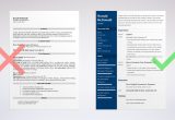 Toys R Us Resume Sample In Nj Mcdonald’s Resume: Sample and Writing Guide [20lancarrezekiq Examples]