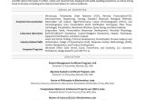 Transcription and Summary Writer Resume Samples Research Scientist Resume Example Resume Professional Writers