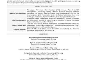Transcription and Summary Writer Resume Samples Research Scientist Resume Example Resume Professional Writers