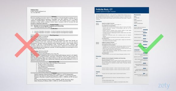 Transcription and Summary Writer Resume Samples Translator Resume Sample with Skills (template & Guide)
