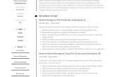 Travel Agency General Manager Sample Resume General Manager Resume & Writing Guide 12 Examples Pdf 2022