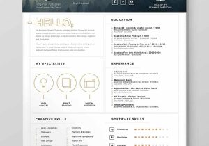 Two Column Resume Template Free Download Two Column Resume: 15lancarrezekiq Templates to Download (free Included)
