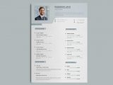 Two Column Resume Template Free Download Two Column Resume: 15lancarrezekiq Templates to Download (free Included)