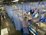 Tyson Foods Production Worker Resume Sample Exclusive: Taking A Look Inside A northwest Arkansas Tyson Plant …