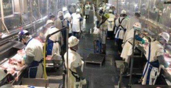 Tyson Foods Production Worker Resume Sample Production Resumes at Tyson In Logansport after Additional Cleaning