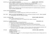 Ub School Of Management Resume Template School Business Manager Cv Example November 2021