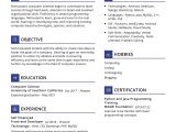 Ui Developer Resume Template Free Download Freelance Ui Developer Resume 2021 Writing Tips – Resumekraft