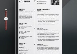Ui Developer Resume Template Free Download the Best Ux Ui Designer Resume Template – Resumeinventor