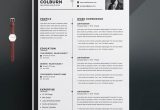 Ui Ux Designer Resume Template Free Download the Best Ux Ui Designer Resume Template – Resumeinventor