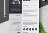Ui Ux Designer Resume Template Free Download Ui Ux Designer Resume Remplate – Resumeinventor