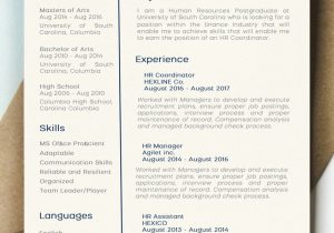 University Of south Carolina Resume Template Minimal Modern Resume Cv Template Ms Word Download Cv Template …