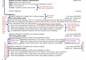 University Of south Carolina Resume Template Quick Tips for Moore School Resume format Pages 1 – 12 – Flip Pdf …