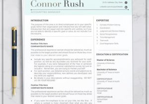 University Of Texas Austin Resume Template Professional Resume Template Resume Template for Word Resume …