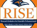Utsa College Of Business Resume Template Marc/rise Templates and Powerpoints